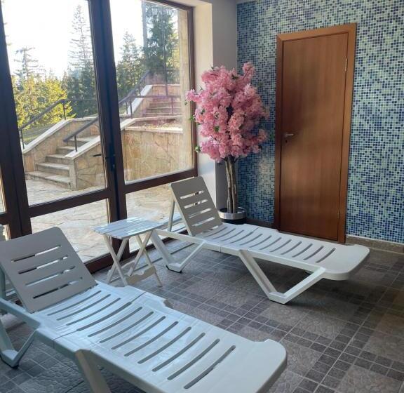 غرفة ديلوكس, Complex Nero