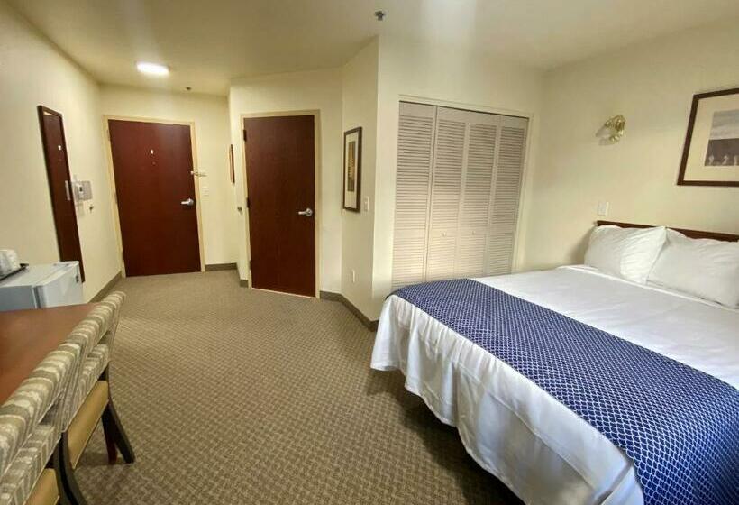 غرفة قياسية, Red Rock Lodge