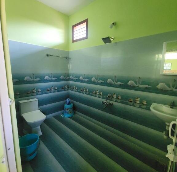 Habitació Economy, Paradise Forest Resort