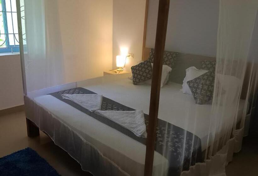 חדר סופריור, Palm Heaven