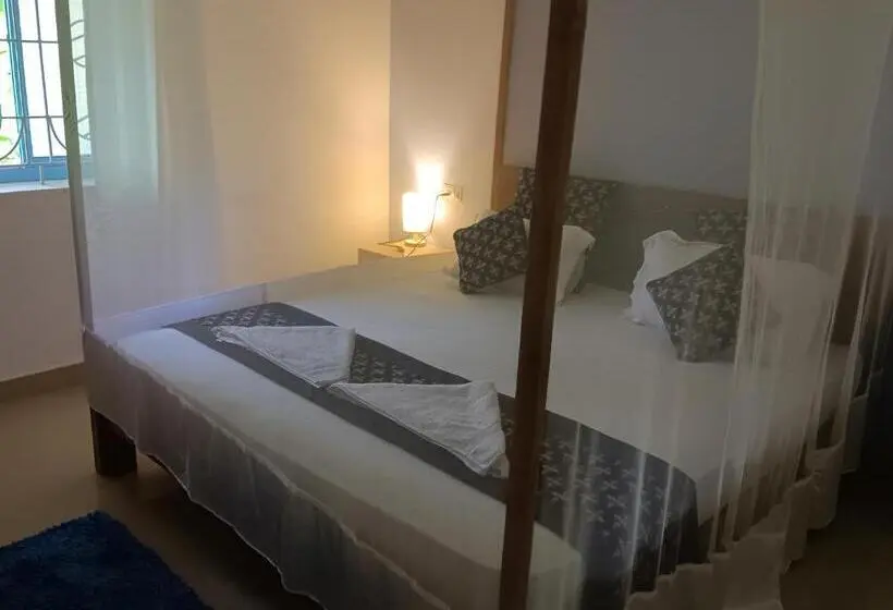 Chambre Supérieure, Palm Heaven