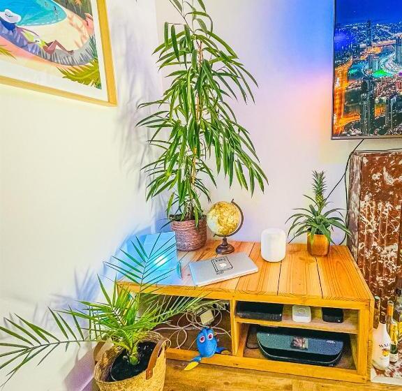 带共用浴室的标准房间, Caribbean Spirit