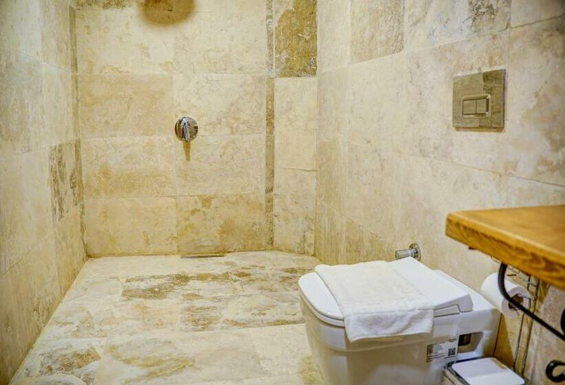 اتاق استاندارد با چشم‌انداز باغ, Ala Stone House