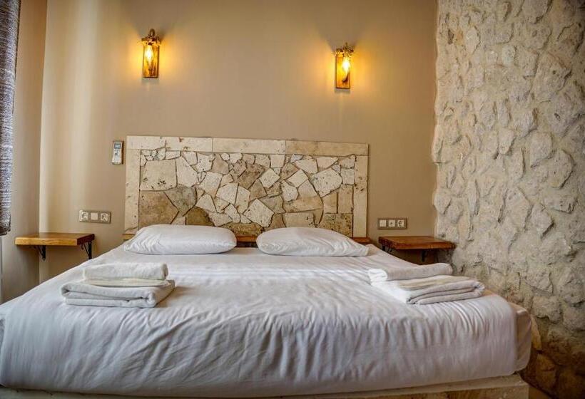 اتاق استاندارد با چشم‌انداز کوهستان, Ala Stone House