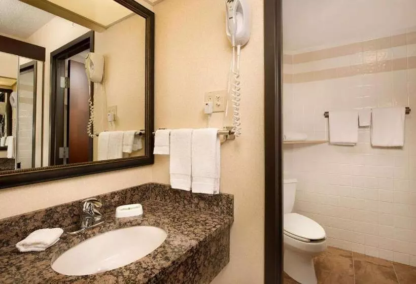 キングサイズベッドのスタンダードルーム, Drury Inn & Suites Springfield