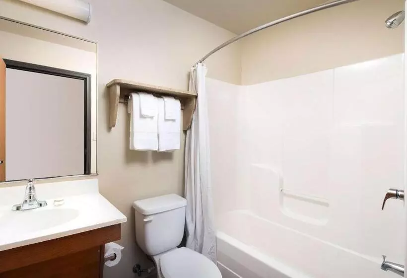 Standard-huone, Extended Stay America Select Suites  Birmingham  Pelham