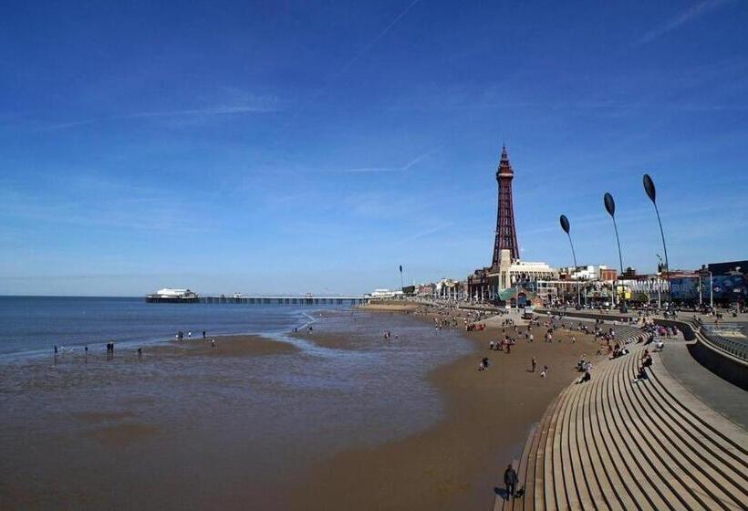 スタンダードシングルルーム, Kirkstead Guesthouse, Pet Friendly Rooms Available, Everyone Welcome