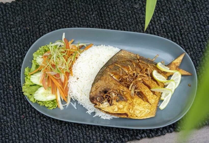 اتاق استاندارد, Nandini