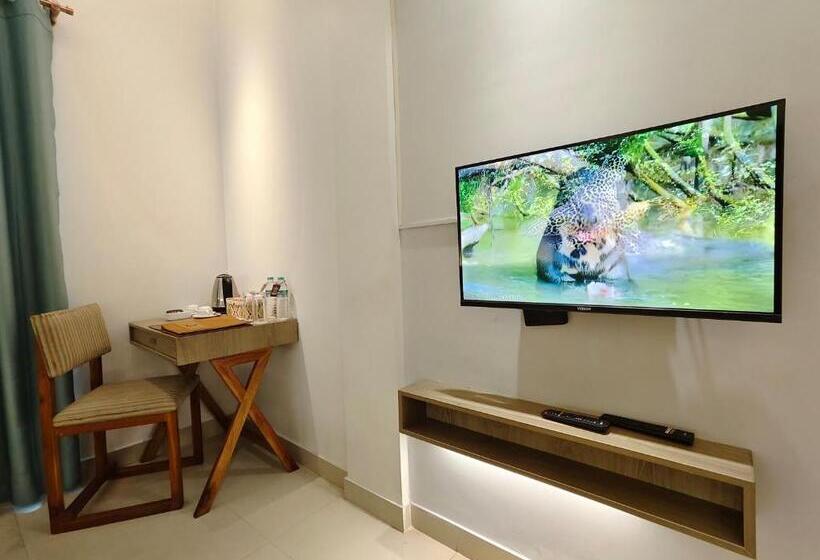 اتاق استاندارد, Nandini