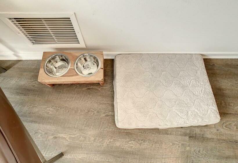 带1个卧室带泳池的公寓, Pet Friendly In Orlando Area Near Disney