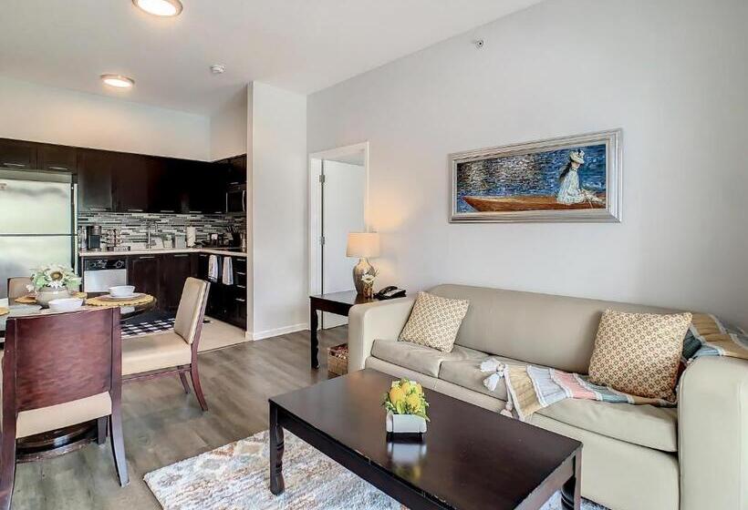 带1个卧室带泳池的公寓, Pet Friendly In Orlando Area Near Disney