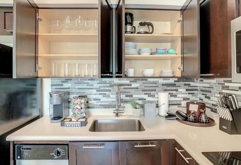 带1个卧室带泳池的公寓, Pet Friendly In Orlando Area Near Disney