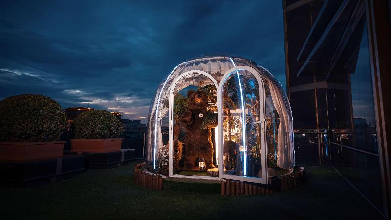 غرفة قياسية سرير كينج, Americas Best Value Inn Forest