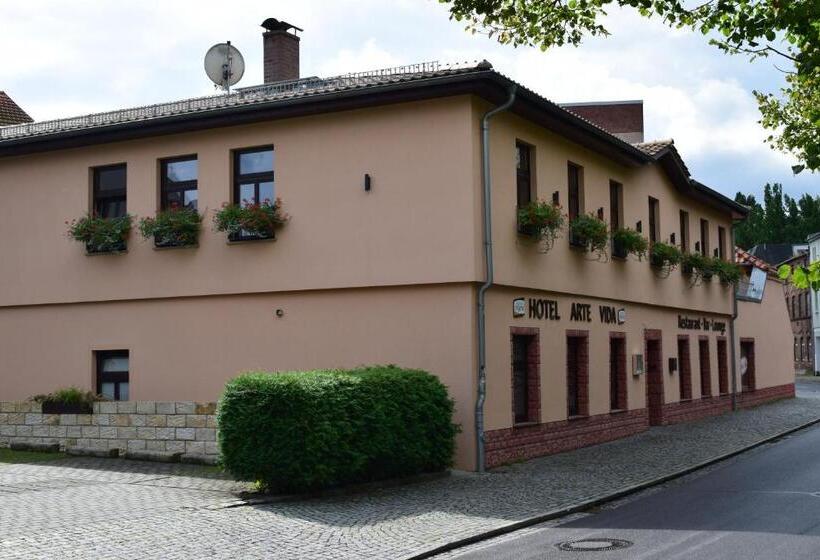 Номер Стандарт, Arte Vida Ohg