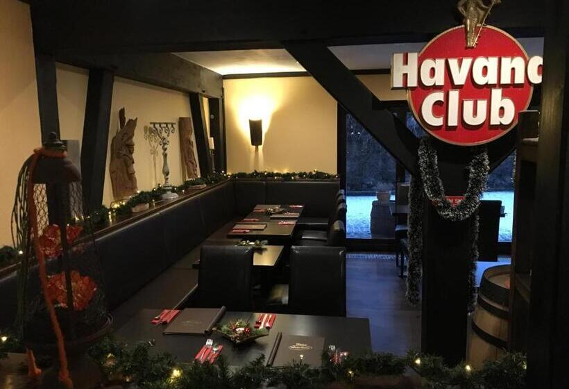 Номер Стандарт, Arte Vida Ohg