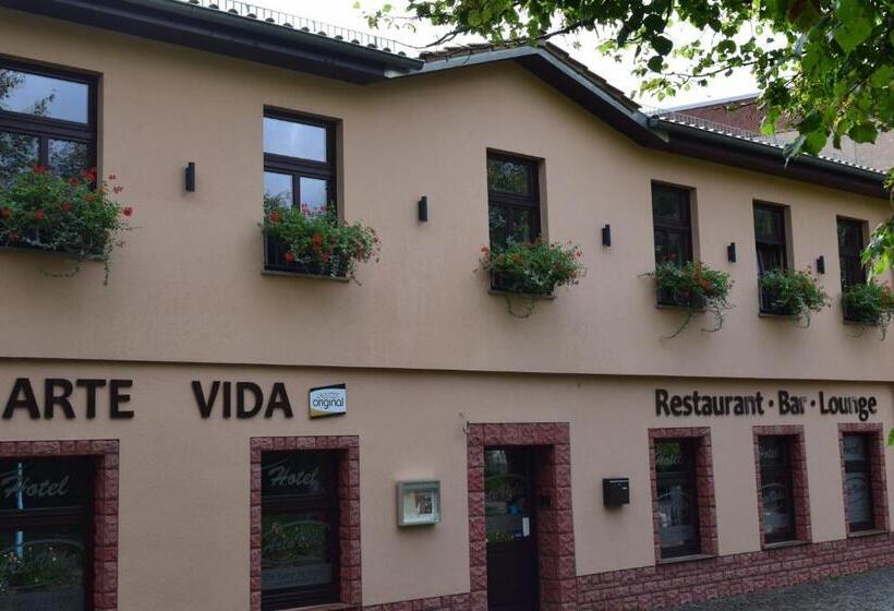 Номер Стандарт, Arte Vida Ohg