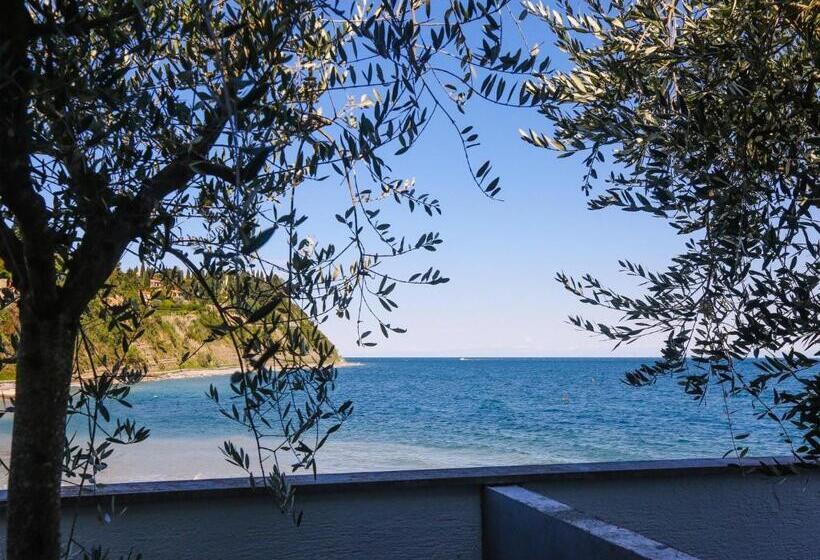 اتاق سوپریور, Barbara Piran Beach