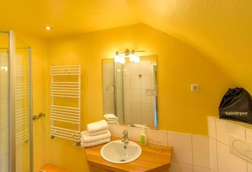 Camera Standard, Beachside