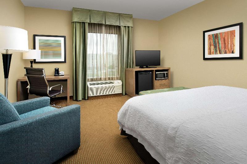 스탠다드 룸 킹사이즈 침대, Hampton Inn Lake Charles