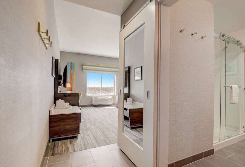 스탠다드 룸 킹사이즈 침대, Hampton Inn Lake Charles