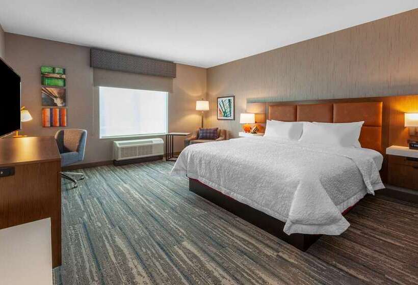 스탠다드 룸 킹사이즈 침대, Hampton Inn Lake Charles