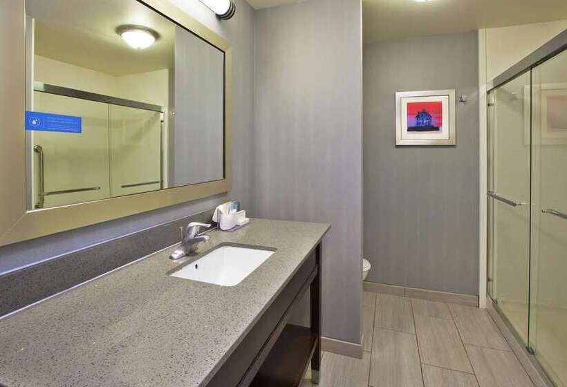 스탠다드 룸 킹사이즈 침대, Hampton Inn Lake Charles