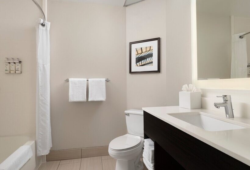 Quarto Estandar, Holiday Inn Express And Suites New Orleans Airport, An Ihg