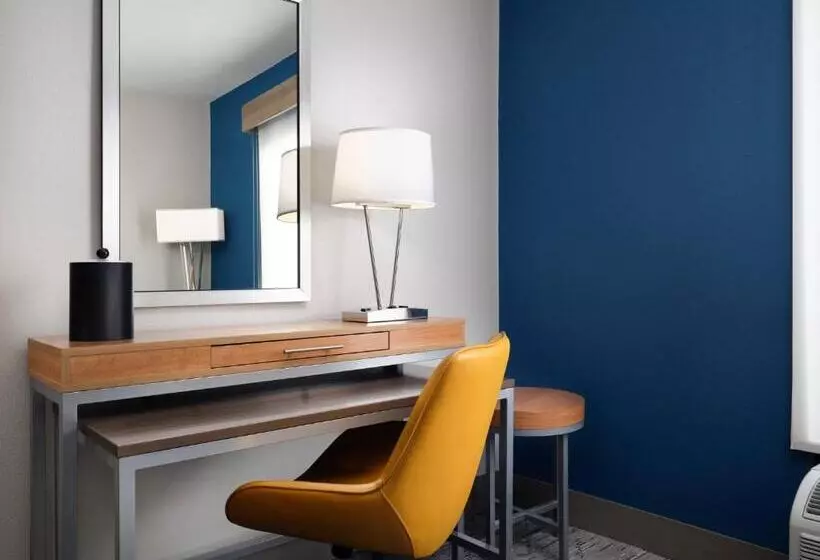 キングサイズベッドのスタンダードルーム, Holiday Inn Express And Suites New Orleans Airport, An Ihg