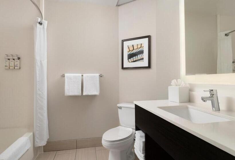 Quarto Estandar Cama King, Holiday Inn Express And Suites New Orleans Airport, An Ihg