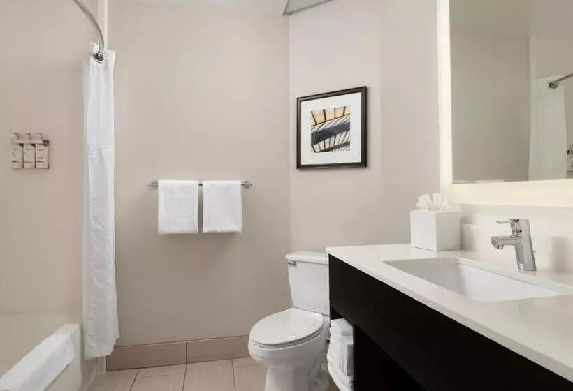 デラックスルーム, Holiday Inn Express And Suites New Orleans Airport, An Ihg