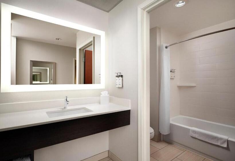 חדר סופריור עם מיטת קינג, Holiday Inn Express And Suites New Orleans Airport, An Ihg