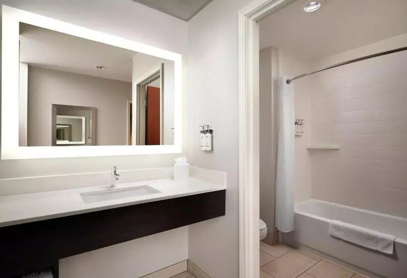 キングサイズベッドのスーペリアルーム, Holiday Inn Express And Suites New Orleans Airport, An Ihg