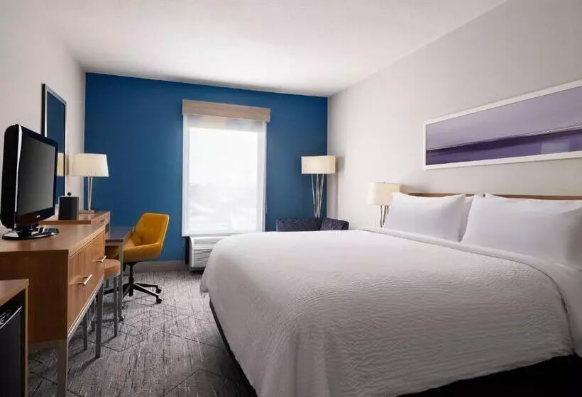 身障者適用キングサイズベッドルーム, Holiday Inn Express And Suites New Orleans Airport, An Ihg
