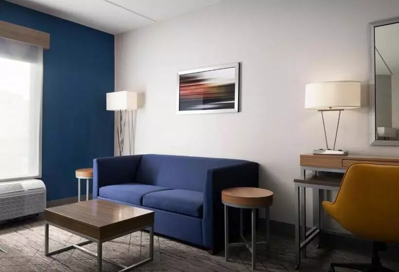 キングサイドベッドのスタンダードワンルーム, Holiday Inn Express And Suites New Orleans Airport, An Ihg
