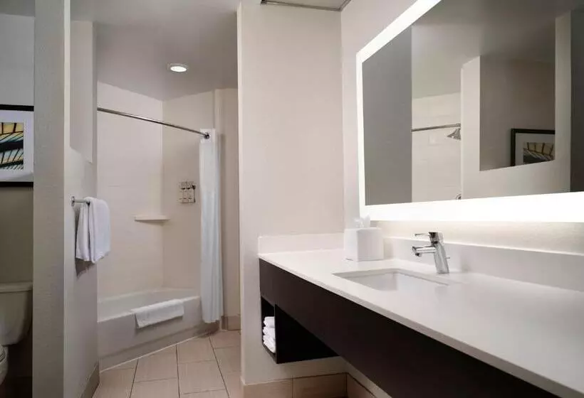 キングサイドベッドのスタンダードワンルーム, Holiday Inn Express And Suites New Orleans Airport, An Ihg