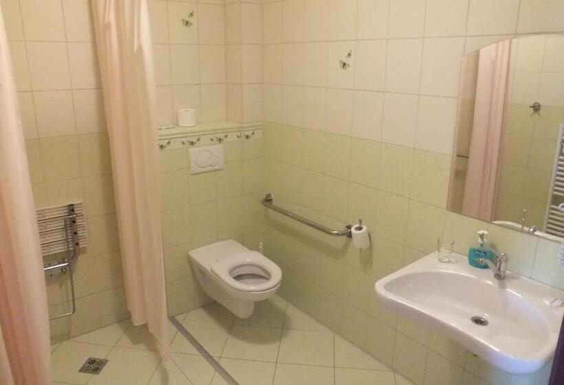 适合残疾人士使用的单人标准间, Majolika