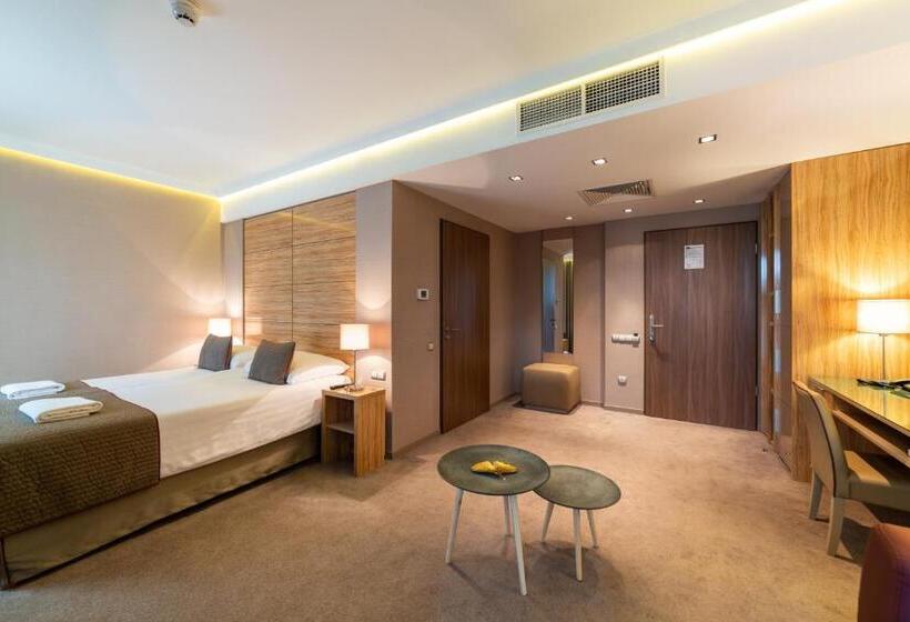 Номер Deluxe Адаптированный для Инвалидов, Pagony Wellness