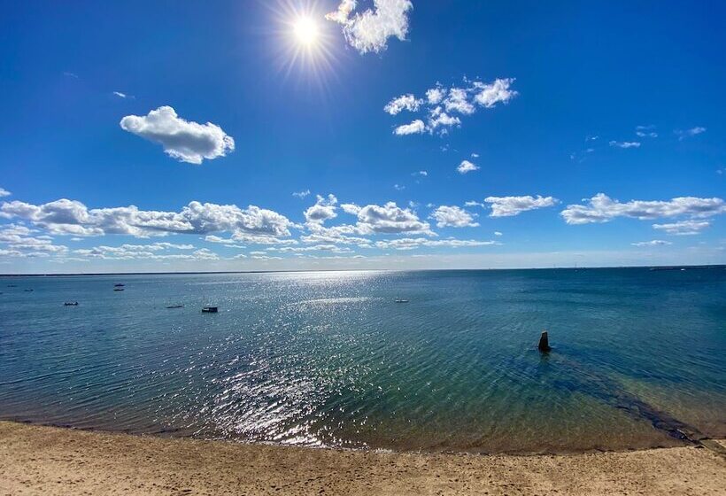 ２ダブルベッドのスタンダードルーム, Surfside Hotel And Suites