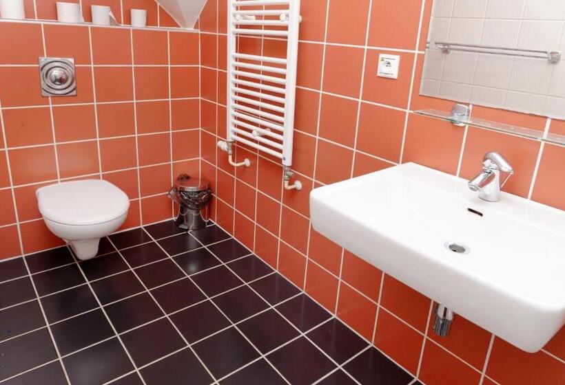 غرفة قياسية, Tulipan