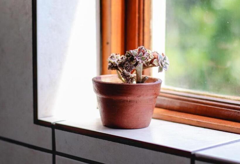 غرفة قياسية سرير كينج, A Tuscan Villa Guest House