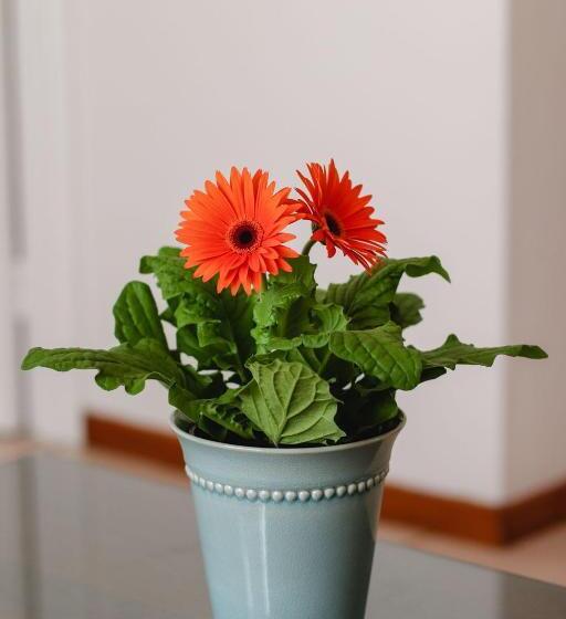 غرفة قياسية سرير كينج, A Tuscan Villa Guest House