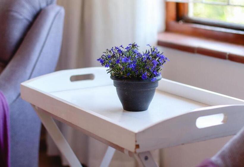 غرفة قياسية سرير كينج, A Tuscan Villa Guest House