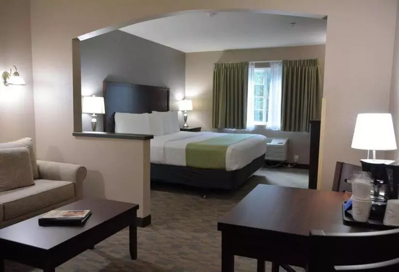 Standard-huone King-vuode, Fairbridge Inn & Suites Dupont