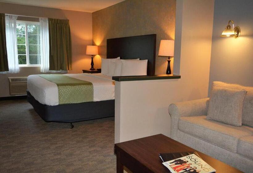 Номер Стандарт Кровать Кинг Адаптированный для Инвалидов, Fairbridge Inn & Suites Dupont