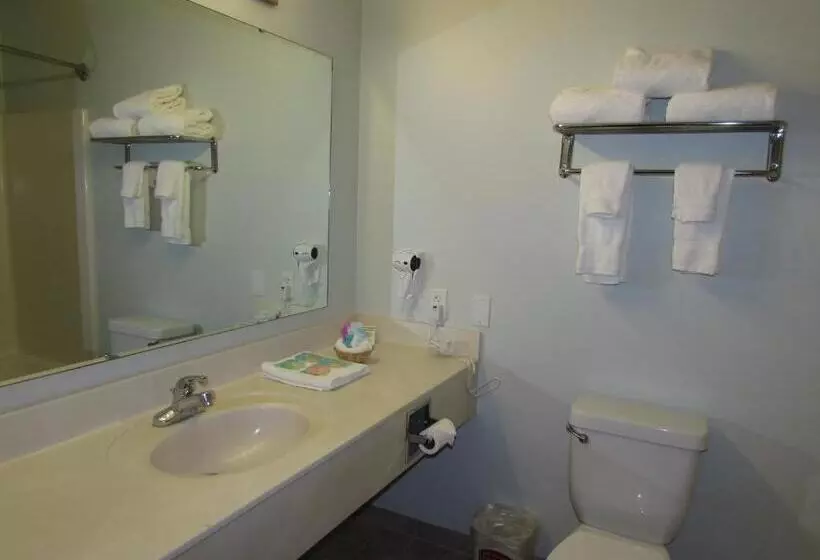 Sviitti, Fairbridge Inn & Suites Dupont