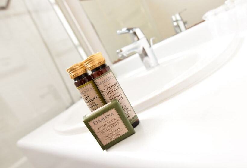 Studio Standard, Residhotel Imperial Rennequin