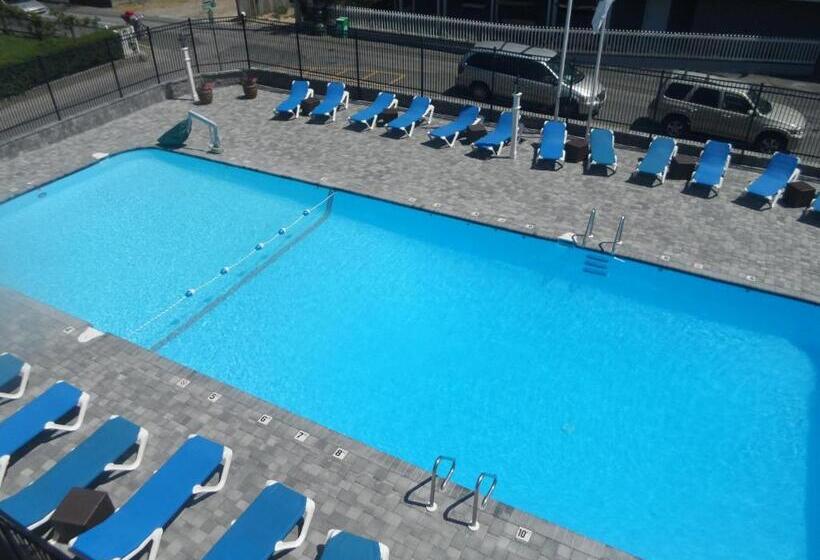 キングサイズベッドのスタンダードルーム, Surfside Hotel And Suites