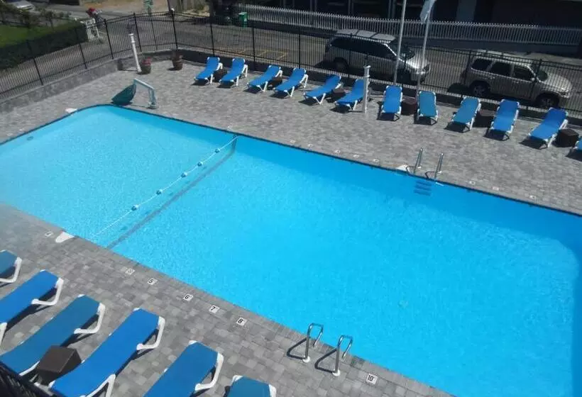 اتاق استاندارد با تخت بزرگ, Surfside Hotel And Suites