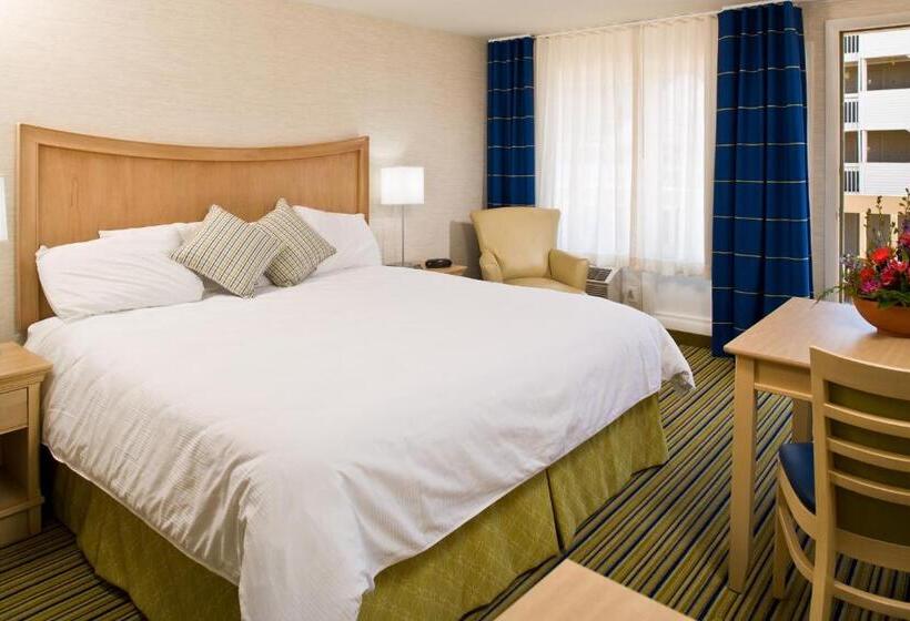 キングサイズベッドのスタンダードルーム, Surfside Hotel And Suites