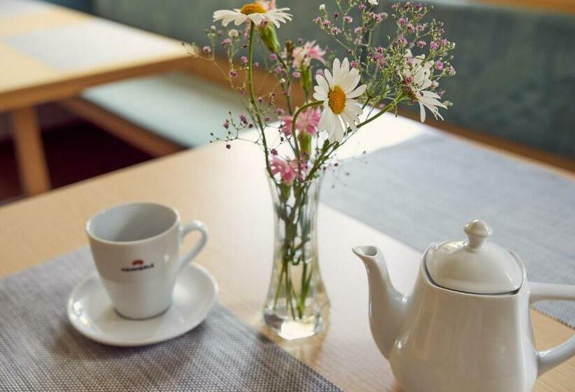 Номер Стандарт Индивидуальный, Dr'berghof